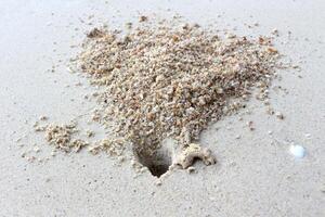 Krabbe Loch auf das Strand Sand. foto