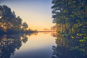 neblig Morgen beim Teich im Wald foto