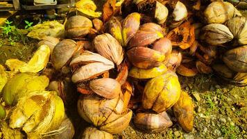 ein Stapel von alt Kokosnuss Muscheln ist geeignet zum Hintergrund Textur foto