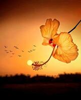 ein Gelb Blume mit Vögel fliegend im das Hintergrund foto