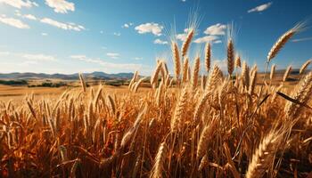 ai generiert Landwirtschaft Schönheit Weizen, Gerste, und Roggen Felder unter Sommer- Sonnenlicht generiert durch ai foto