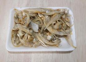 gesalzen trocken Fisch Essen, asiatisch Menschen mögen zu Essen diese gesalzen Fisch foto