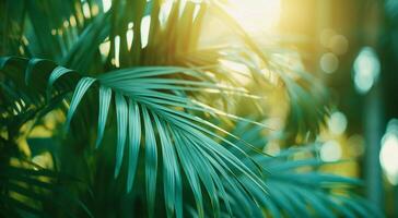 ai generiert üppig Grün Palme Blätter aalen im Sanft Sonnenlicht, abbilden ein still natürlich Rahmen foto