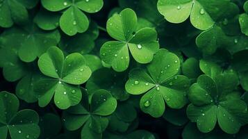 ai generiert Glücklich Kleeblatt Blätter zum st. Patrick's Tag. Banner mit irisch Kleeblatt Blätter foto