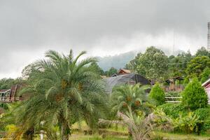 Landschaft Garten und Berg bandungan Semarang zentral Java. das Foto ist geeignet zu verwenden zum Abenteuer Inhalt Medien, Natur Poster und Wald Hintergrund.