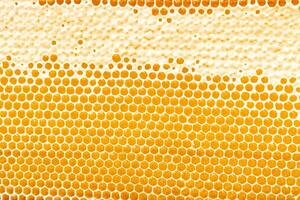 Waben mit Süss golden Honig auf ganze Hintergrund, schließen hoch. Hintergrund Textur, Muster von Sektion von Wachs Bienenwabe foto