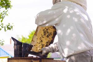 Fachmann Imker im schützend Arbeitskleidung inspizieren Bienenwabe Rahmen beim Bienenhaus. Imker Ernte Honig foto