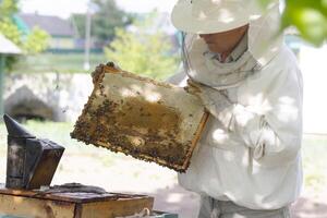 Fachmann Imker im schützend Arbeitskleidung inspizieren Bienenwabe Rahmen beim Bienenhaus. Imker Ernte Honig foto