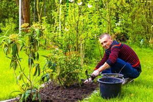 jung Mann Arbeiten im das Garten Betten im Deutschland. foto