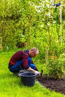 jung Mann Arbeiten im das Garten Betten im Deutschland. foto