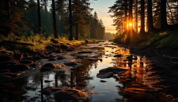 ai generiert still Szene Herbst Wald spiegelt Schönheit im Natur generiert durch ai foto