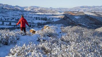 Senior Wanderer im Winter Landschaft von felsig Berge Ausläufer im Nord Colorado, lory Zustand Park foto