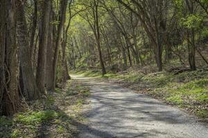 Wald Straße im Frühling - - Dampfschiff Spur Weg umgewandelt von alt Eisenbahn in der Nähe von Peru, Nebraska foto