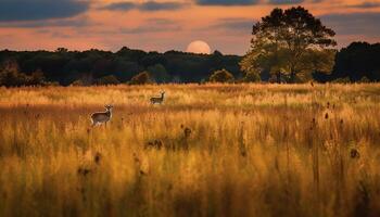 ai generiert Hirsch Weiden lassen im Wiese, Sonnenuntergang Farben still afrikanisch Landschaft generiert durch ai foto