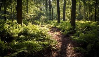 ai generiert still Szene Grün Farne wachsen auf nass Wald Fußboden generiert durch ai foto