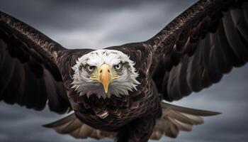 ai generiert majestätisch kahl Adler hochfliegend, Symbol von Stärke und Freiheit generiert durch ai foto