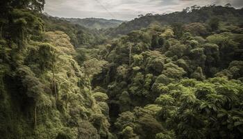 ai generiert still tropisch Regenwald, Grün Bäume, Berg Gipfel, Panorama- Sonnenuntergang generiert durch ai foto