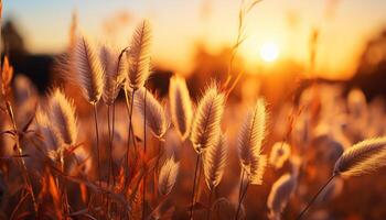 ai generiert Sonnenuntergang Über Wiese, golden Weizen Wachstum im ländlich Landschaft generiert durch ai foto