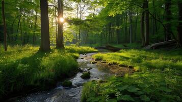 ai generiert heiter Wald Clearing golden Sonnenlicht beruhigend Geräusche und lebhaft Grün foto