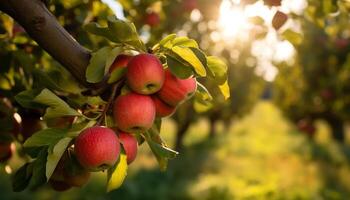 ai generiert Frische und Natur im ein Grün Apfel Baum generiert durch ai foto