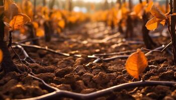 ai generiert Herbst Blatt, Natur beschwingt Farben im ein Reihe generiert durch ai foto