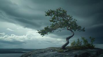 ai generiert belastbar Baum Hosenträger gegen Sturm trotzig Geäst Feste Wurzeln und wirbelnd Wolken Erfassung Stärke im Unglück foto