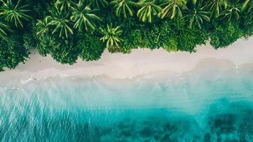 ai generiert Kristall klar Strand Paradies Antenne Aussicht von tropisch Oase mit Weiß Sand Blau Wasser und üppig Palme Bäume foto