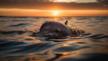 ai generiert spielerisch Delfin Schwimmen im das Blau Meer beim Sonnenuntergang generiert durch ai foto