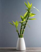 ai generiert Bambus Pflanze im Weiß Vase auf grau Hintergrund, Lager Foto