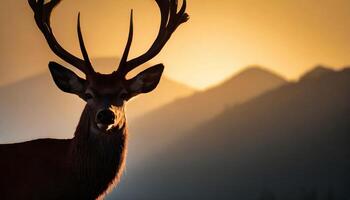 ai generiert friedlich Wald Landschaft mit Stehen Hirsch Silhouette foto