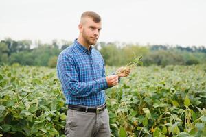 weiblich landwirtschaftlich Experte inspizieren Qualität von Soja foto