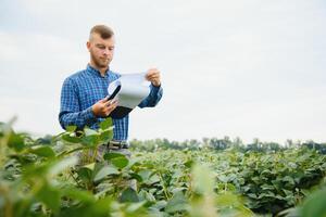 Farmer Agronom auf ein wachsend Grün Sojabohne Feld. landwirtschaftlich Industrie. foto