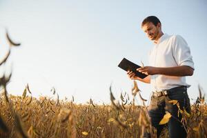 Agronom inspizieren Soja Bohne Pflanzen wachsend im das Bauernhof Feld. Landwirtschaft Produktion Konzept. jung Agronom untersucht Sojabohne Ernte auf Feld im Sommer. Farmer auf Sojabohne Feld foto