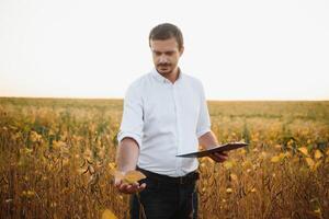 Agronom inspiziert Sojabohne Ernte im landwirtschaftlich Feld - - Agro Konzept - - Farmer im Sojabohne Plantage auf Bauernhof. foto