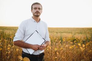 Agronom inspiziert Sojabohne Ernte im landwirtschaftlich Feld - - Agro Konzept - - Farmer im Sojabohne Plantage auf Bauernhof. foto