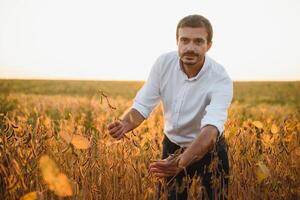 Agronom inspiziert Sojabohne Ernte im landwirtschaftlich Feld - - Agro Konzept - - Farmer im Sojabohne Plantage auf Bauernhof. foto