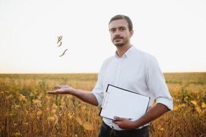 Agronom inspizieren Soja Bohne Pflanzen wachsend im das Bauernhof Feld. Landwirtschaft Produktion Konzept. jung Agronom untersucht Sojabohne Ernte auf Feld im Sommer. Farmer auf Sojabohne Feld foto