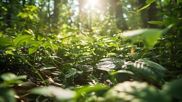 ai generiert Sonnenlicht Filter durch üppig Grün Wald Erstellen gesprenkelt Muster foto