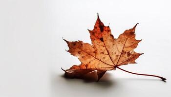 ai generiert beschwingt Herbst Farben schmücken das Wald, symbolisieren Veränderung und Schönheit generiert durch ai foto