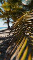 ai generiert Nahansicht von Palme Baum auf Strand. generativ ai. foto