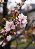 ai generiert Frische von Frühling Natur Schönheit im ein beschwingt Strauß generiert durch ai foto