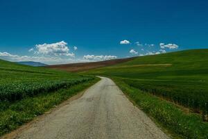 das Landschaft Straße foto