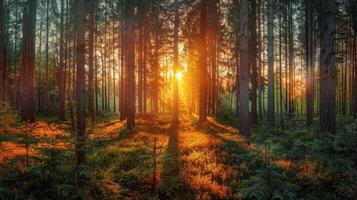 ai generiert Morgen im das Wald. schön Sommer- Landschaft mit Sonnenstrahlen. foto