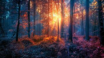 ai generiert Sonnenuntergang oder Sonnenaufgang im Magie Wald. foto