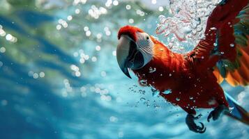 ai generiert komisch unter Wasser Szene Papagei im Schwimmbad Theaterstücke tief tauchen Aktion, ai generiert. foto