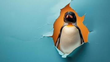 ai generiert ein humorvoll Pinguin Gleichaltrigen durch ein zerrissen Loch im ein Kontrast Pastell- Farbe Papier Hintergrund, ai generiert foto