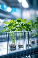 ai generiert biotechnologische Forschung von Pflanzen zum Landwirtschaft Labor foto