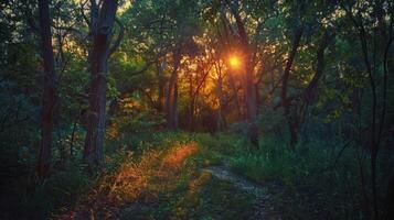 ai generiert schön Sonnenuntergang im das Wald. Sonnenaufgang im das Wald. foto