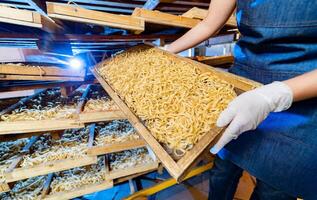 Pasta Produktion beim Pflanze. hölzern Kisten mit Nudel im Bäcker Hände. technologisch Produktion Fabrik industriell arbeiten, roh Makkaroni Nahansicht. foto