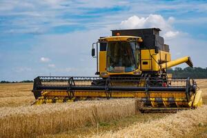 Gelb kombinieren landwirtschaftlich Landwirtschaft. Sommer- Ernte durch groß kombinieren. foto